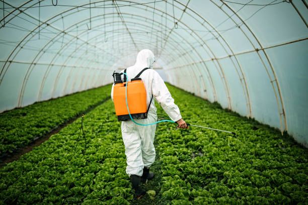 Pest Prevention Services in Cramerton, NC