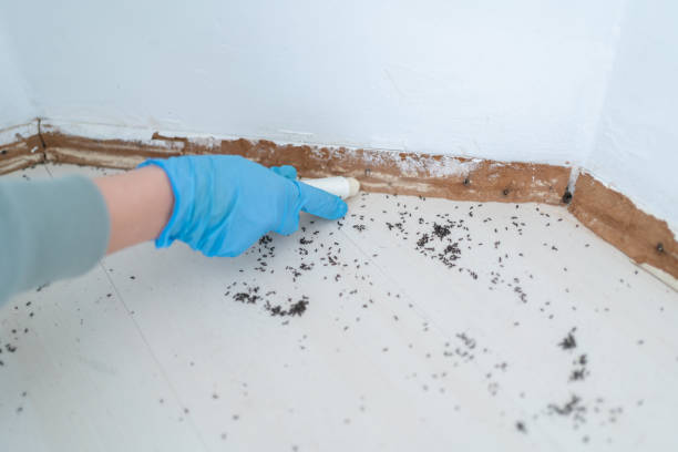 Wildlife Control Services in Cramerton, NC